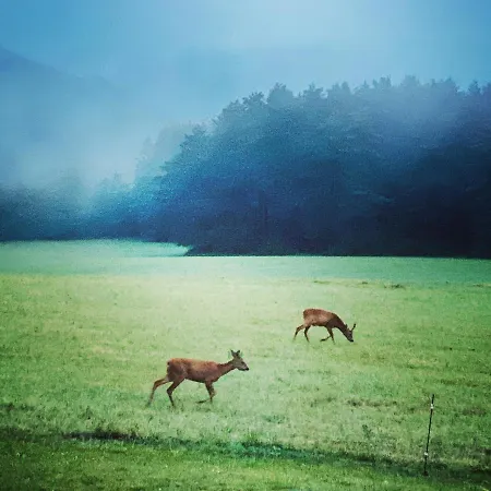 Domaine De Cazal - 4 Pers Avec Piscine Au Coeur De 26 Hectares De Nature Preservee *