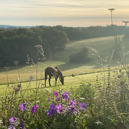 Domaine De Cazal - 4 Pers Avec Piscine Au Coeur De 26 Hectares De Nature Preservee Holiday home *